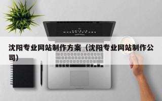 湘阴沈阳专业网站制作方案（沈阳专业网站制作公司）